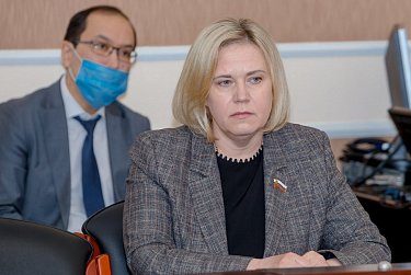 Над чем работают депутаты